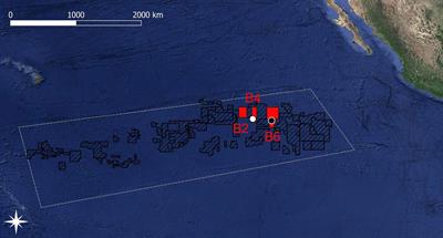 Role of polymetallic-nodule dependent fauna on carbon cycling in the eastern Clarion-Clipperton Fracture Zone (Pacific)